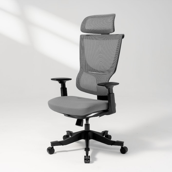 Flexispot ergonomic office shop chair